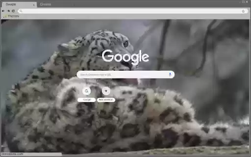 Bao tuyet  from Chrome web store to be run with OffiDocs Chromium online