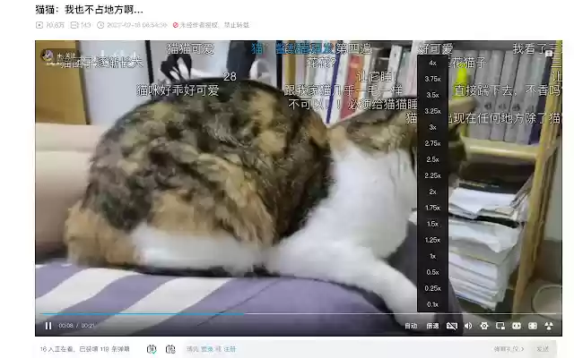 B站视频加速 Bilibili视频加速 from Chrome web store to be run with OffiDocs Chromium online B站视频加速 Bilibili视频加速 from Chrome web store to be run with OffiDocs Chromium online