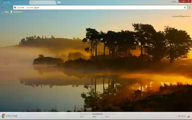 Beach Horizon Palm Tree  from Chrome web store to be run with OffiDocs Chromium online