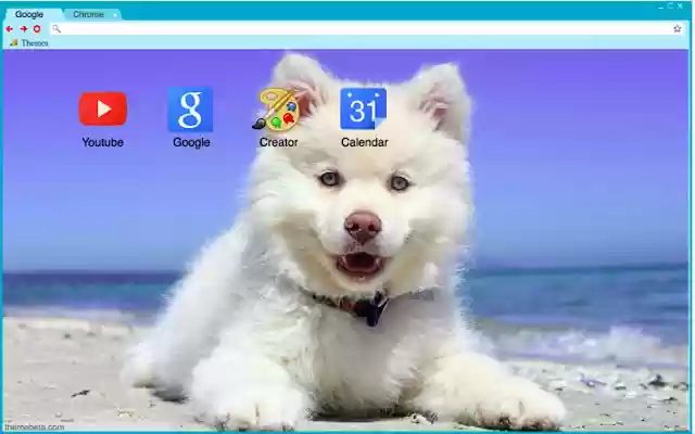 Beach Puppy  from Chrome web store to be run with OffiDocs Chromium online