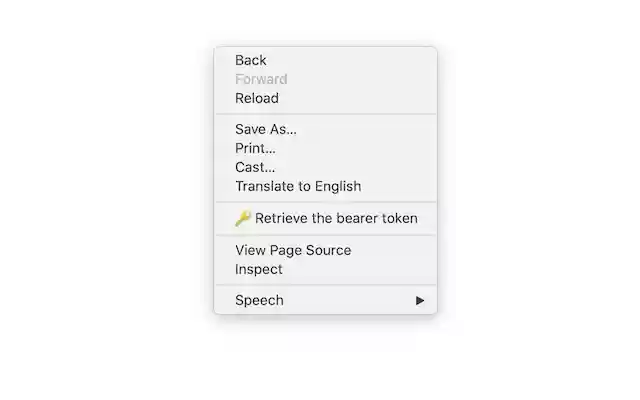 Bearer Token Retriever  from Chrome web store to be run with OffiDocs Chromium online