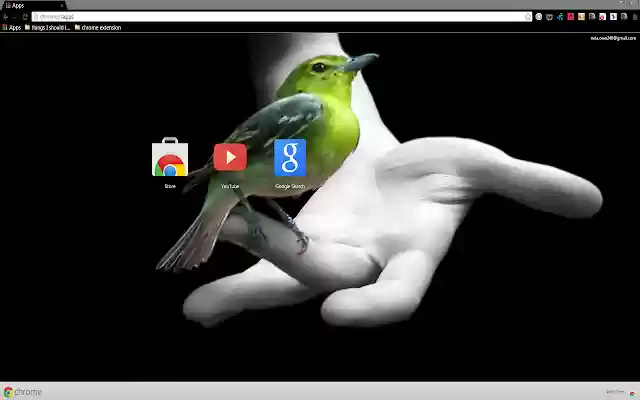 OffiDocs Chromium 온라인으로 실행되는 Chrome 웹 스토어의 Beautiful Bird On A Hand