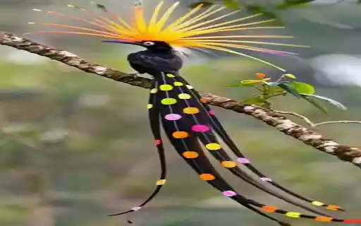 Beautiful bird wallpapers from Chrome web store to be run with OffiDocs Chromium online Beautiful bird wallpapers from Chrome web store to be run with OffiDocs Chromium online