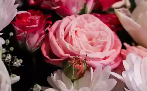 Beautiful bouquet from Chrome web store to be run with OffiDocs Chromium online Beautiful bouquet from Chrome web store to be run with OffiDocs Chromium online
