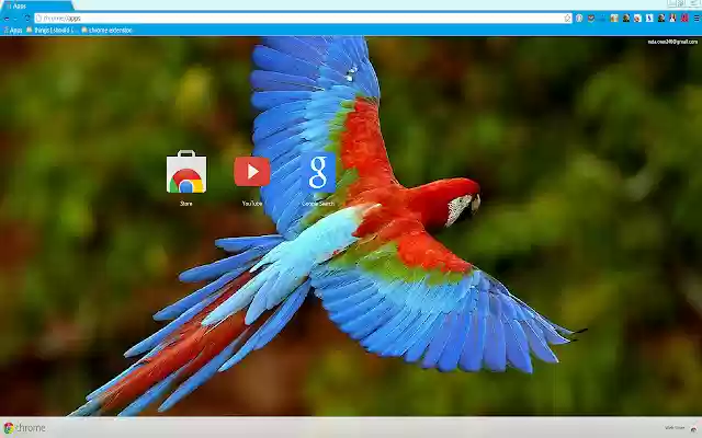 Beautiful Parrot  from Chrome web store to be run with OffiDocs Chromium online