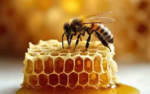 Bees and Sweet Honey  from Chrome web store to be run with OffiDocs Chromium online