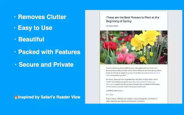 Best Reader View  from Chrome web store to be run with OffiDocs Chromium online