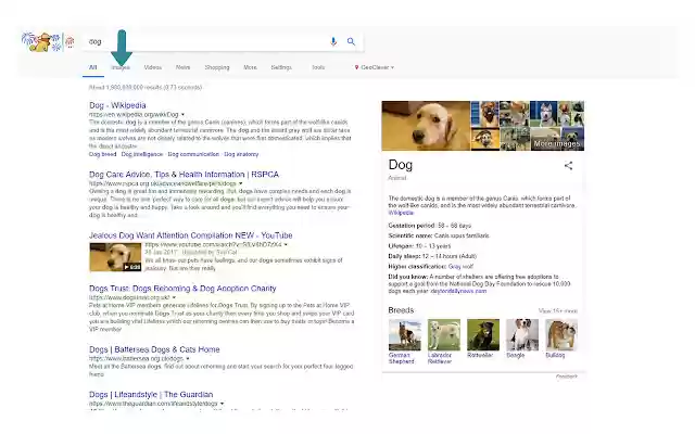 Betty Fix Google Image Search from Chrome web store to be run with OffiDocs Chromium online Betty Fix Google Image Search from Chrome web store to be run with OffiDocs Chromium online