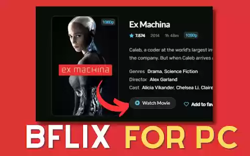 Bflix For PC,windows and Mac (Easy Use)  from Chrome web store to be run with OffiDocs Chromium online
