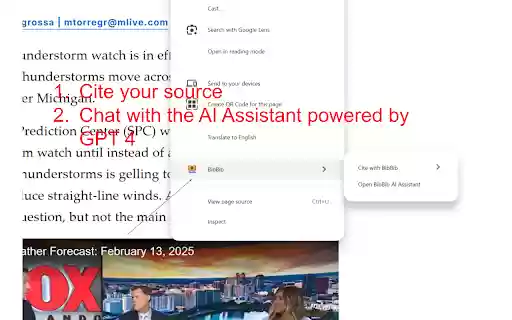 BibBib  from Chrome web store to be run with OffiDocs Chromium online