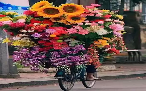 Bicycle carrying many flowers Wallpaper  from Chrome web store to be run with OffiDocs Chromium online