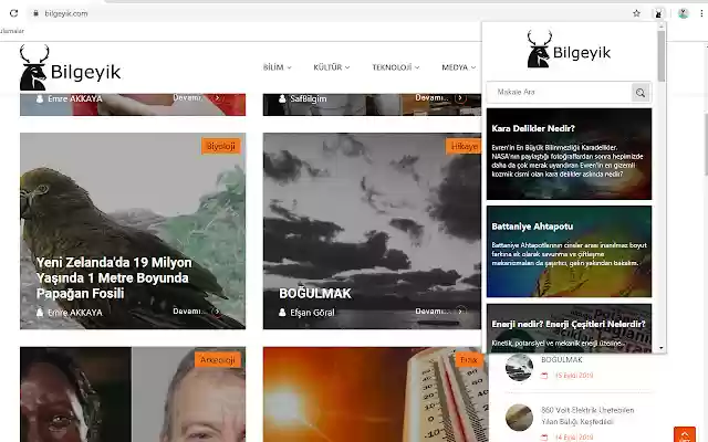 Bilgeyik  from Chrome web store to be run with OffiDocs Chromium online