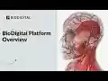 BIODIGITAL HUMAN from Chrome web store to be run with OffiDocs Chromium online BIODIGITAL HUMAN from Chrome web store to be run with OffiDocs Chromium online