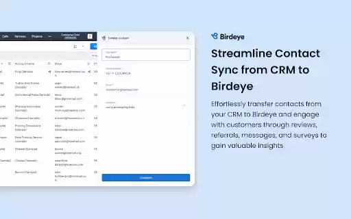 Birdeye  from Chrome web store to be run with OffiDocs Chromium online