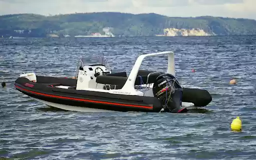 Black and white canoe  from Chrome web store to be run with OffiDocs Chromium online