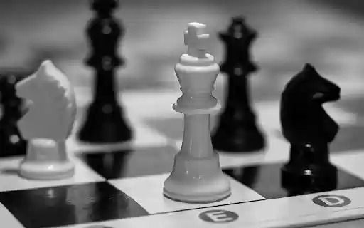 Black and White Chess Pieces  from Chrome web store to be run with OffiDocs Chromium online