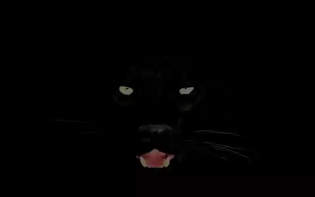 Black Cat Panther  from Chrome web store to be run with OffiDocs Chromium online