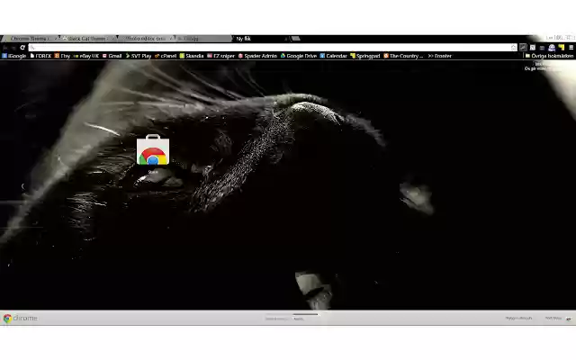 BLACK CAT Theme  from Chrome web store to be run with OffiDocs Chromium online