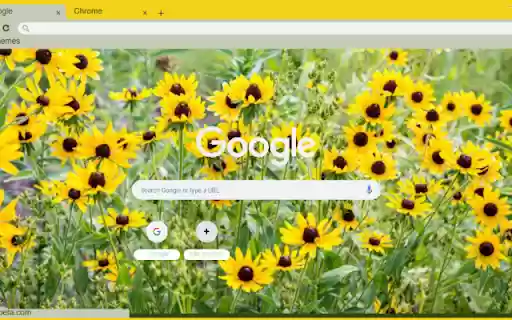Black eyed Susan  from Chrome web store to be run with OffiDocs Chromium online