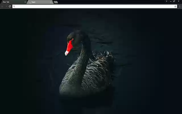 black Swan  from Chrome web store to be run with OffiDocs Chromium online