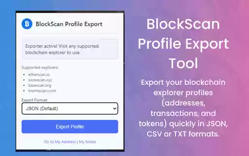 BlockScan Profile Export Tool  from Chrome web store to be run with OffiDocs Chromium online