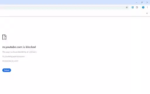 Block Site Extension  from Chrome web store to be run with OffiDocs Chromium online