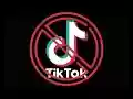 Block TikTok from Chrome web store to be run with OffiDocs Chromium online Block TikTok from Chrome web store to be run with OffiDocs Chromium online