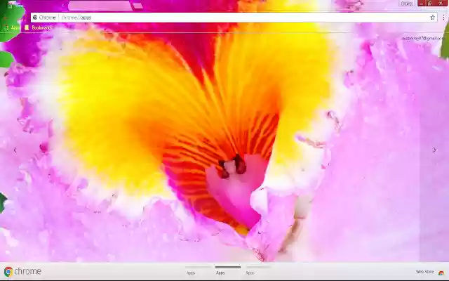 Blossom Colorful Flower Lilac Nature  from Chrome web store to be run with OffiDocs Chromium online