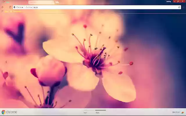 Blossom Flower Pastel Retro from Chrome web store to be run with OffiDocs Chromium online Blossom Flower Pastel Retro from Chrome web store to be run with OffiDocs Chromium online