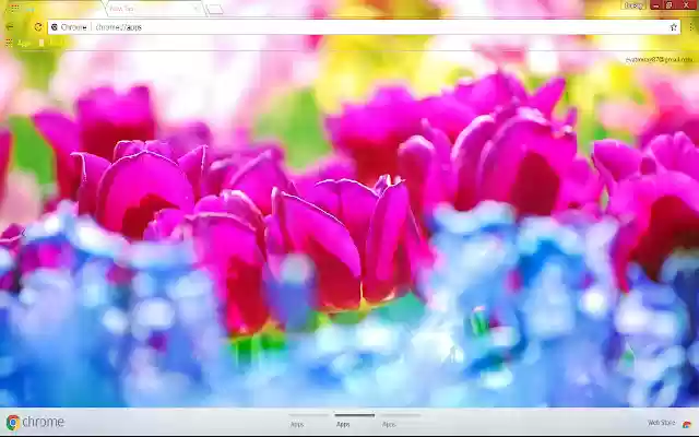 Blue Flower Bokeh Colorful Flower  from Chrome web store to be run with OffiDocs Chromium online
