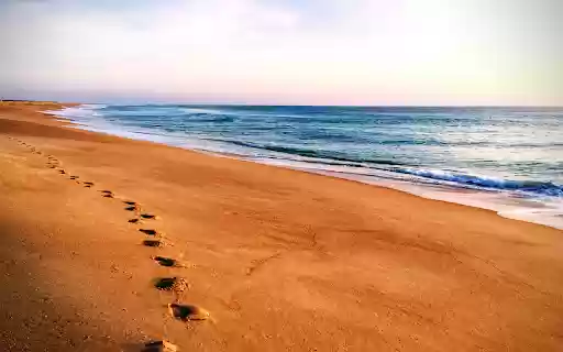 Синє море та золотий пісок з інтернет-магазину Chrome працюватимуть за допомогою OffiDocs Chromium online