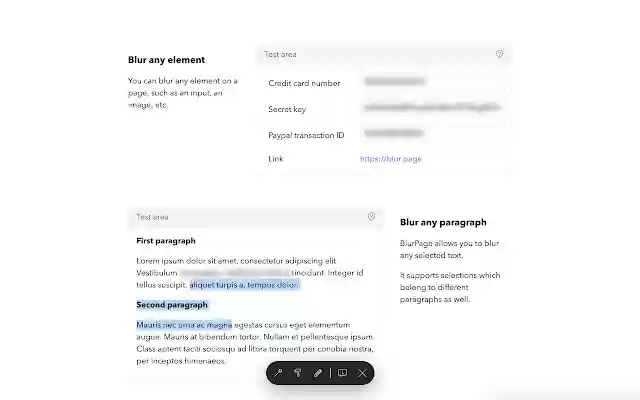 BlurPage  from Chrome web store to be run with OffiDocs Chromium online