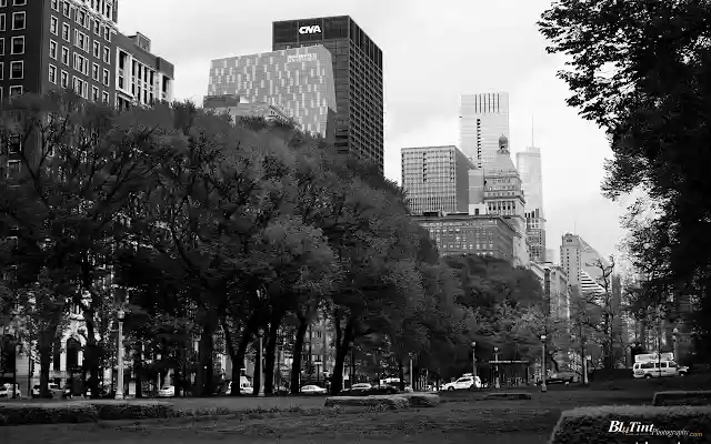 Blutintphotography.com BW Chi city from Chrome web store to be run with OffiDocs Chromium online Blutintphotography.com BW Chi city from Chrome web store to be run with OffiDocs Chromium online