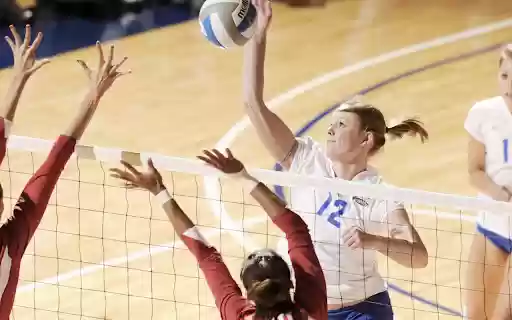 Bóng chuyền  from Chrome web store to be run with OffiDocs Chromium online