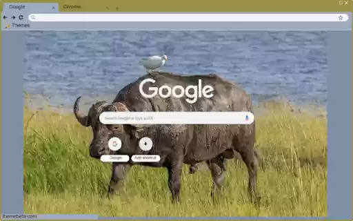 Bo ma  from Chrome web store to be run with OffiDocs Chromium online
