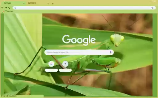 Bo Ngua  from Chrome web store to be run with OffiDocs Chromium online