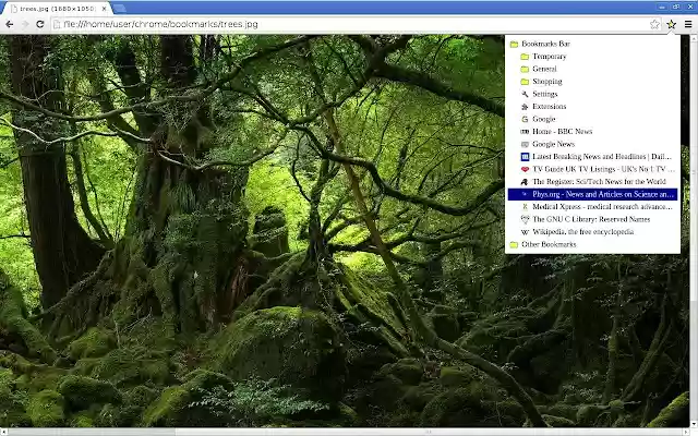 Bookmark Icon  from Chrome web store to be run with OffiDocs Chromium online
