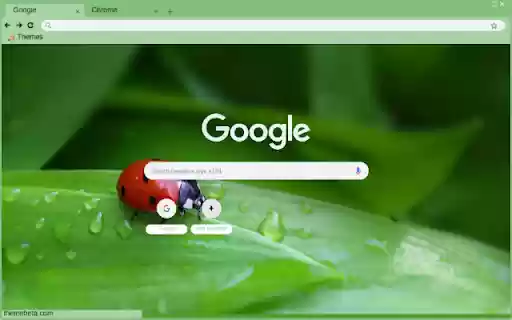 Bo Rua  from Chrome web store to be run with OffiDocs Chromium online