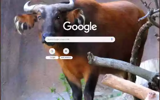 Bo rung Chau Phi from Chrome web store to be run with OffiDocs Chromium online Bo rung Chau Phi from Chrome web store to be run with OffiDocs Chromium online