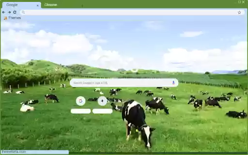 Bo sua  from Chrome web store to be run with OffiDocs Chromium online