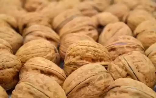 Brain nourishing food  from Chrome web store to be run with OffiDocs Chromium online