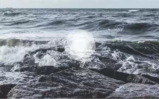 Breathe: Website blocker  from Chrome web store to be run with OffiDocs Chromium online