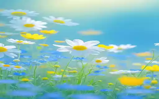 Bright chrysanthemum garden wallpaper  from Chrome web store to be run with OffiDocs Chromium online
