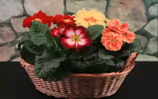 Bright flower basket  from Chrome web store to be run with OffiDocs Chromium online