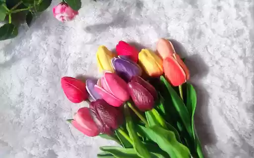 Bright plastic flowers  from Chrome web store to be run with OffiDocs Chromium online