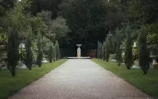 Brown Concrete Pathway Between Green Trees  from Chrome web store to be run with OffiDocs Chromium online