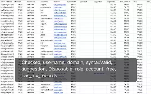 Bulk Email Verifier  Checker  from Chrome web store to be run with OffiDocs Chromium online