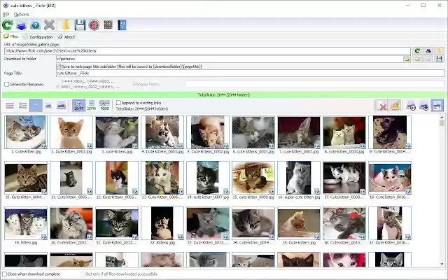 Bulk Image Downloader  from Chrome web store to be run with OffiDocs Chromium online