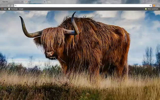 Bull  from Chrome web store to be run with OffiDocs Chromium online