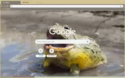 Bullfrog from Chrome web store to be run with OffiDocs Chromium online Bullfrog from Chrome web store to be run with OffiDocs Chromium online